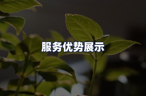 服务优势展示